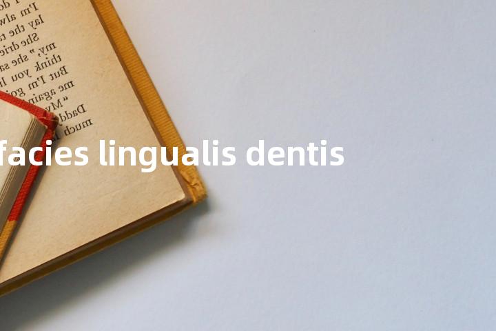 facies lingualis dentis单词图解，单词释义场景配图