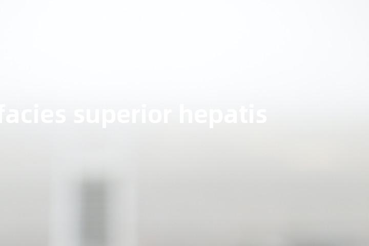 facies superior hepatis单词图解，单词释义场景配图