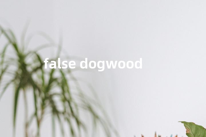 false dogwood单词图解，单词释义场景配图