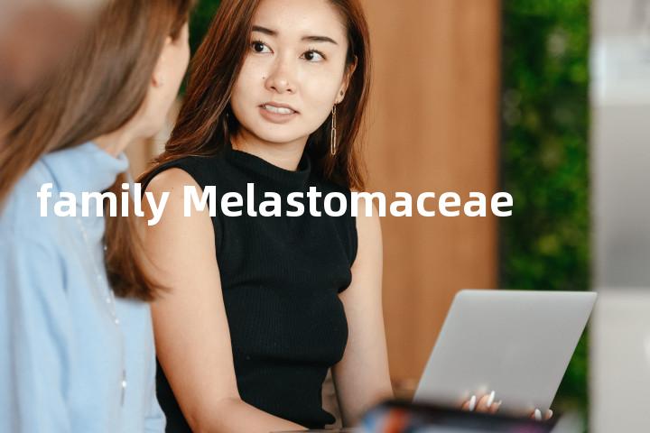 family Melastomaceae单词图解，单词释义场景配图