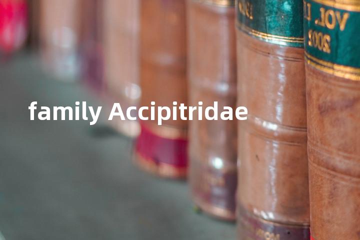 family Accipitridae单词图解，单词释义场景配图