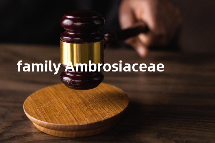 family Ambrosiaceae单词图解，单词释义场景配图