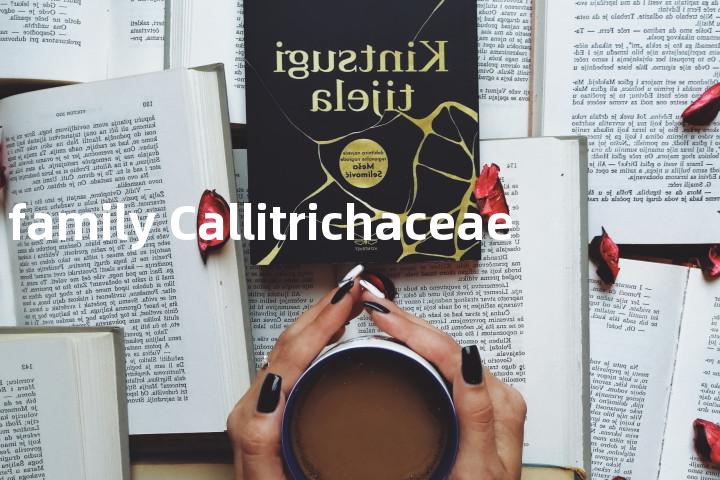 family Callitrichaceae单词图解，单词释义场景配图