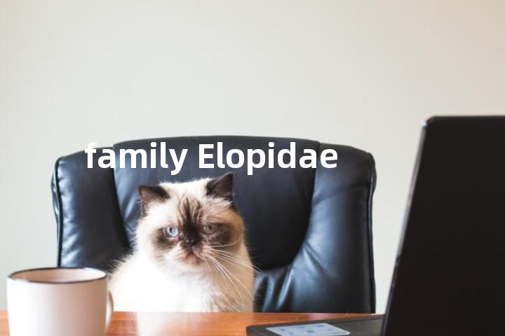 family Elopidae单词图解，单词释义场景配图