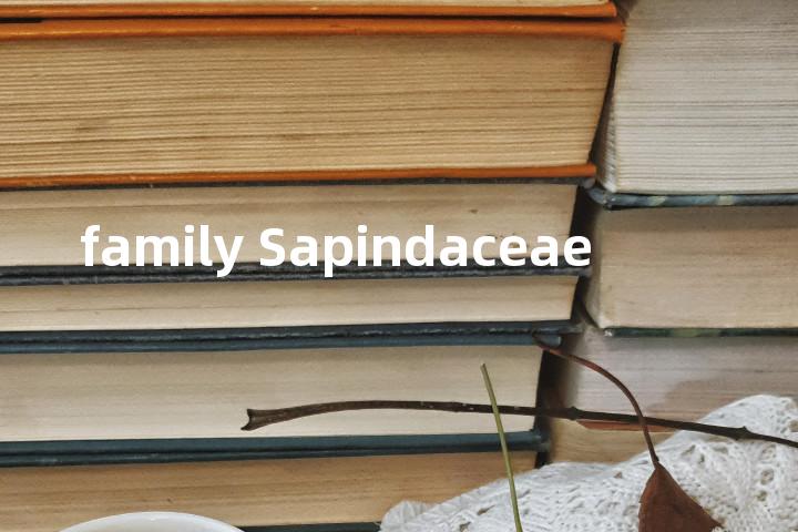 family Sapindaceae单词图解，单词释义场景配图