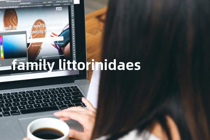 family littorinidaes单词图解，单词释义场景配图