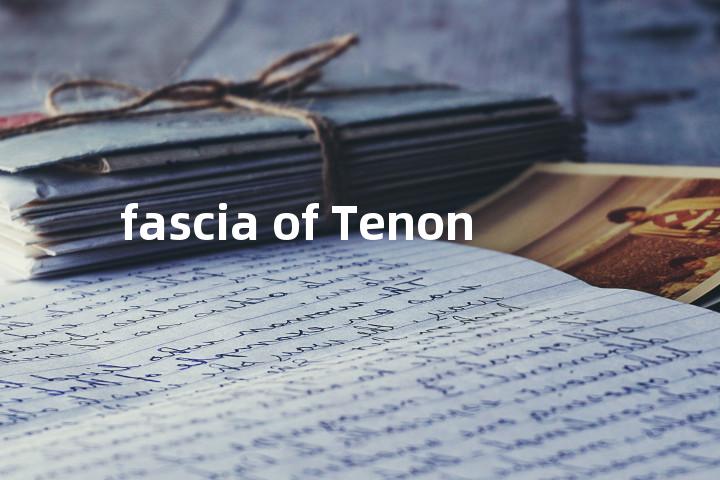fascia of Tenon单词图解，单词释义场景配图