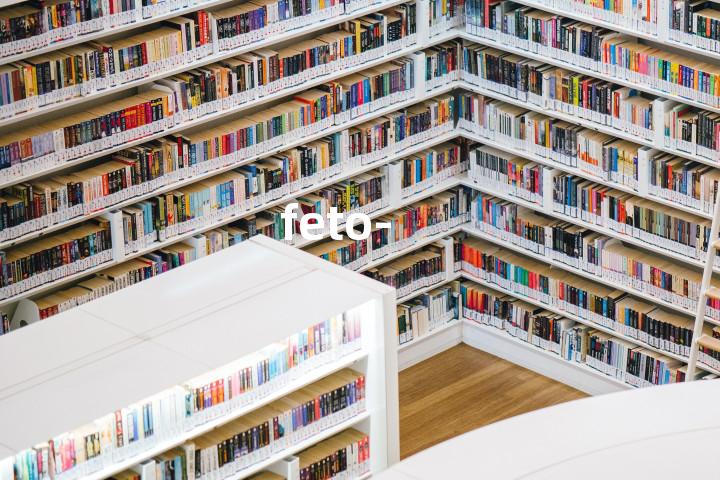 feto-单词图解，单词释义场景配图