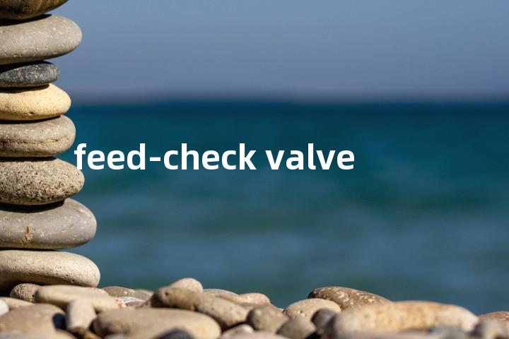 feed-check valve单词图解，单词释义场景配图