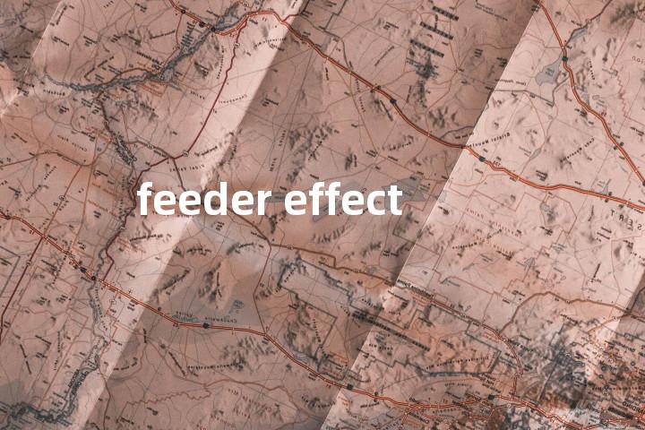 feeder effect单词图解，单词释义场景配图