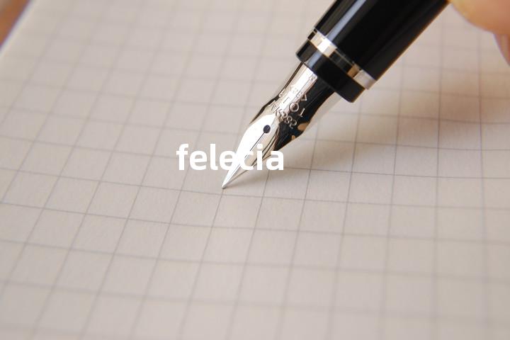 felecia单词图解，单词释义场景配图