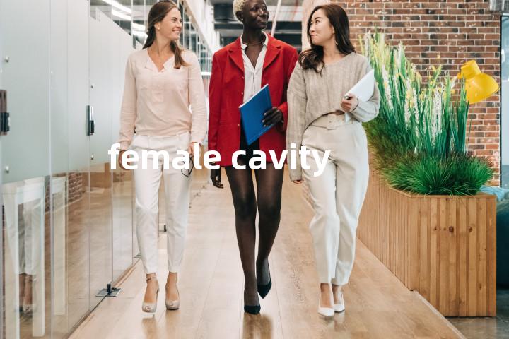 female cavity单词图解，单词释义场景配图