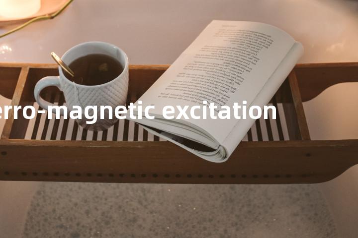 ferro-magnetic excitation单词图解，单词释义场景配图