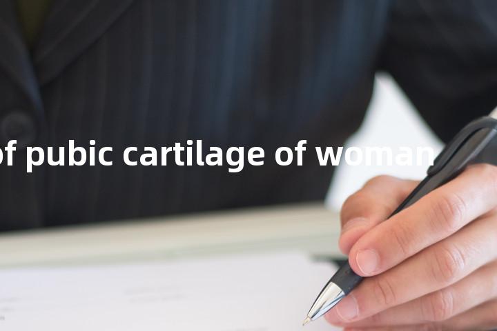 fixation of pubic cartilage of woman单词图解，单词释义场景配图