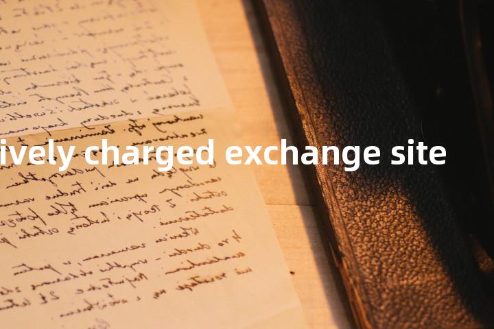 fixed positively charged exchange site单词图解，单词释义场景配图