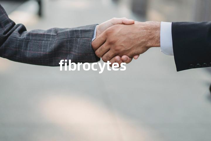 fibrocytes单词图解，单词释义场景配图