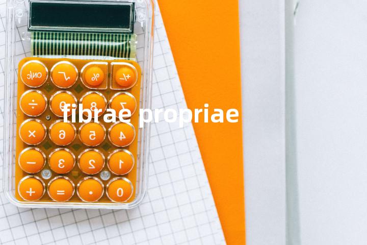 fibrae propriae单词图解，单词释义场景配图