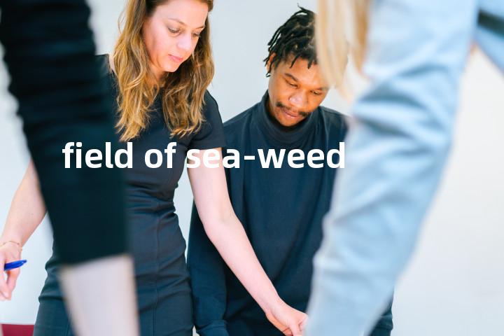 field of sea-weed单词图解，单词释义场景配图