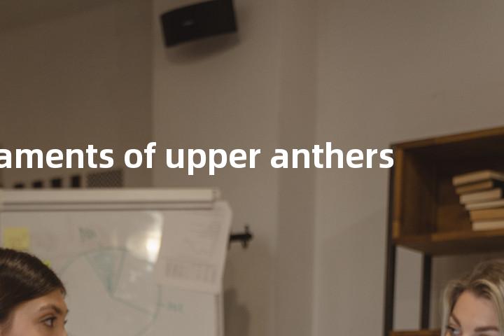 filaments of upper anthers单词图解，单词释义场景配图