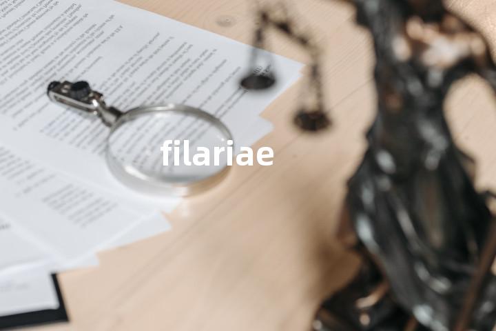 filariae单词图解，单词释义场景配图