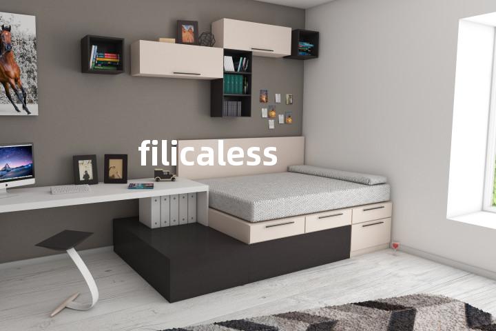 filicaless单词图解，单词释义场景配图