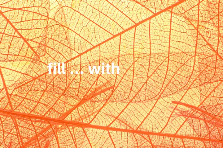 fill ... with单词图解，单词释义场景配图