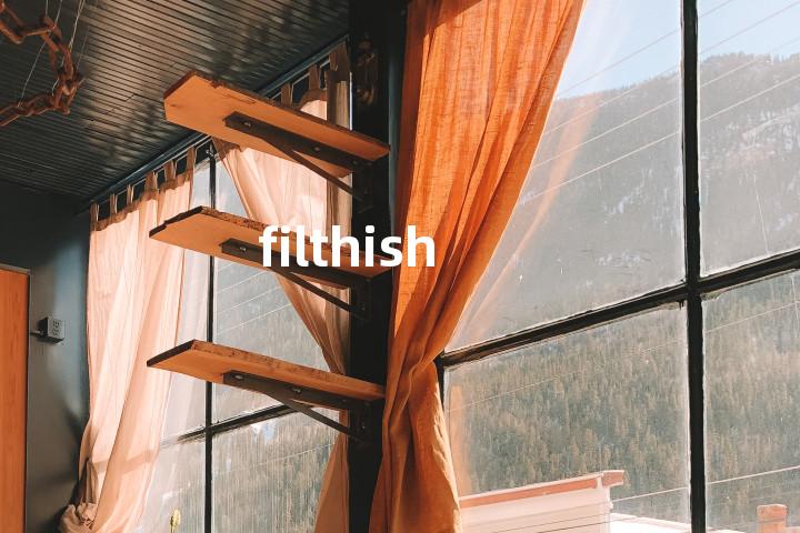 filthish单词图解，单词释义场景配图