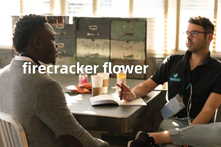 firecracker flower单词图解，单词释义场景配图