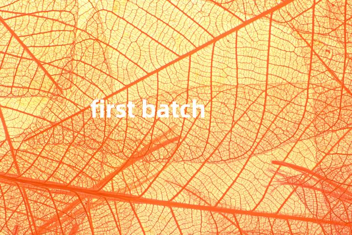 first batch单词图解，单词释义场景配图