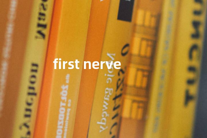 first nerve单词图解，单词释义场景配图