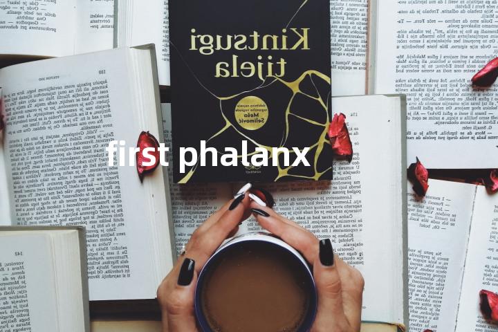 first phalanx单词图解，单词释义场景配图