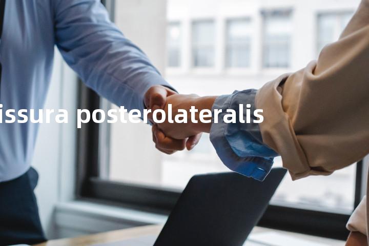 fissura posterolateralis单词图解，单词释义场景配图