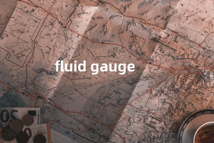 fluid gauge单词图解，单词释义场景配图