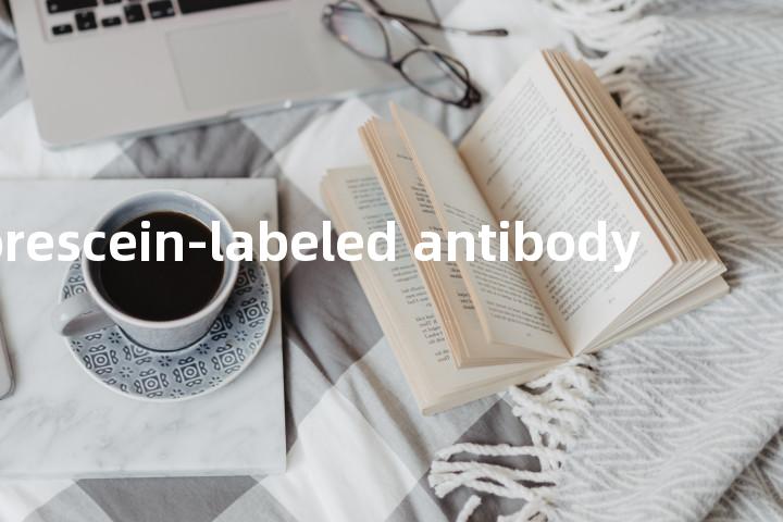 fluorescein-labeled antibody单词图解，单词释义场景配图