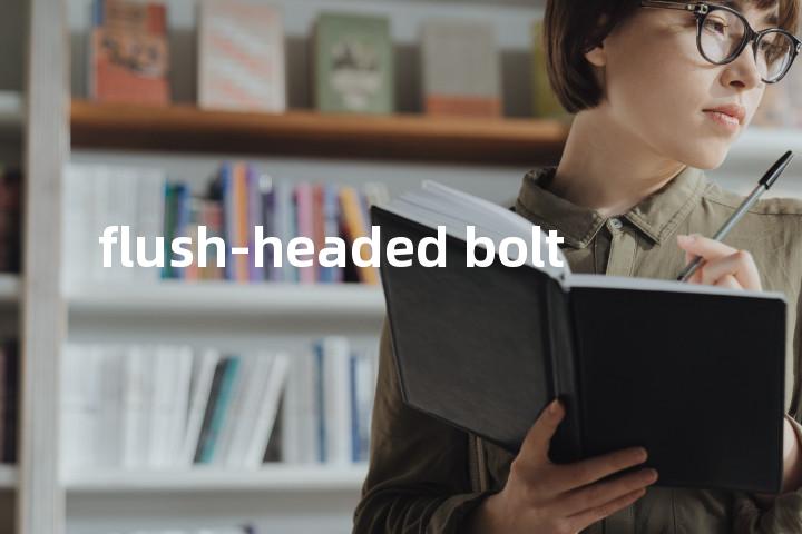 flush-headed bolt单词图解，单词释义场景配图