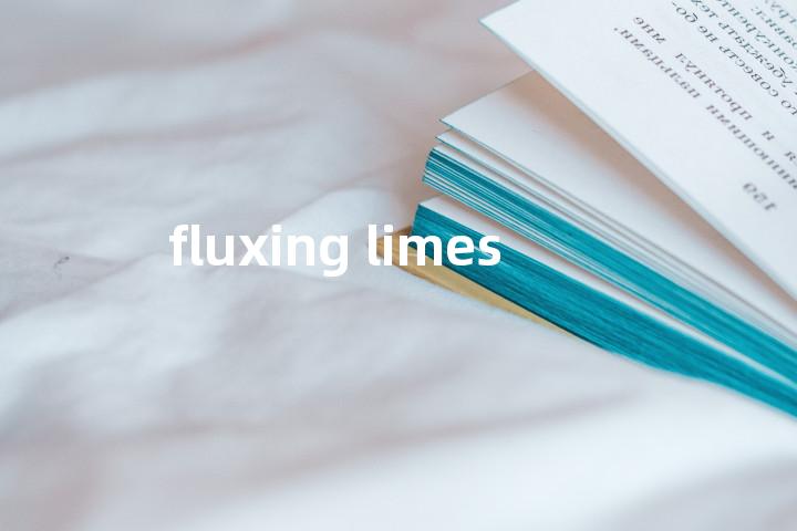 fluxing limes单词图解，单词释义场景配图