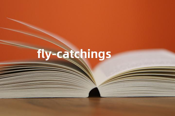 fly-catchings单词图解，单词释义场景配图