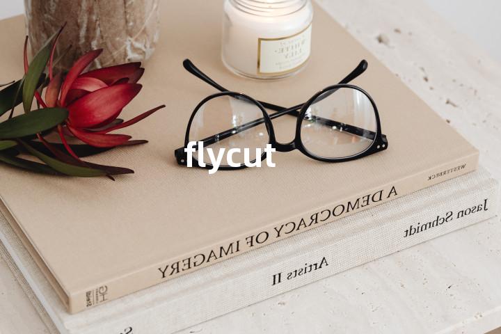 flycut单词图解，单词释义场景配图