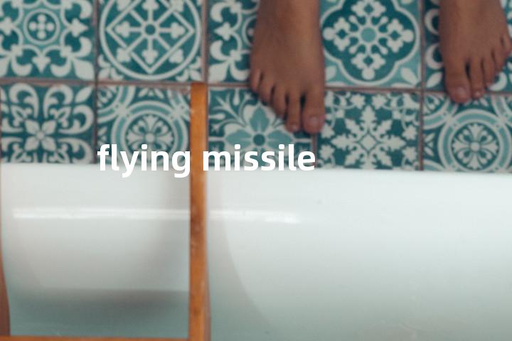 flying missile单词图解，单词释义场景配图