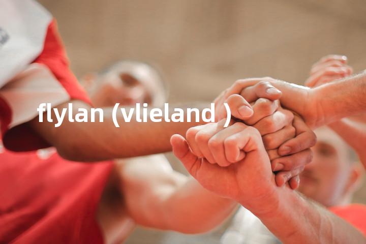 flylan (vlieland )单词图解，单词释义场景配图