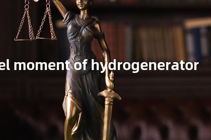 flywheel moment of hydrogenerator单词图解，单词释义场景配图