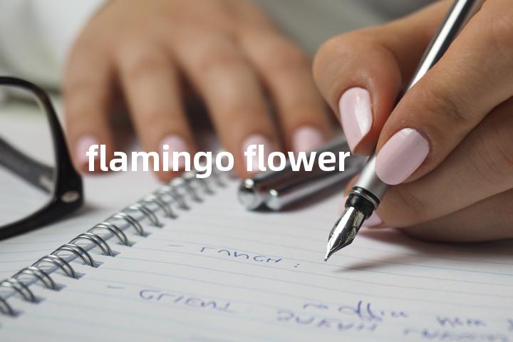 flamingo flower单词图解，单词释义场景配图