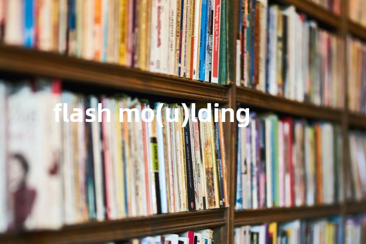 flash mo(u)lding单词图解，单词释义场景配图