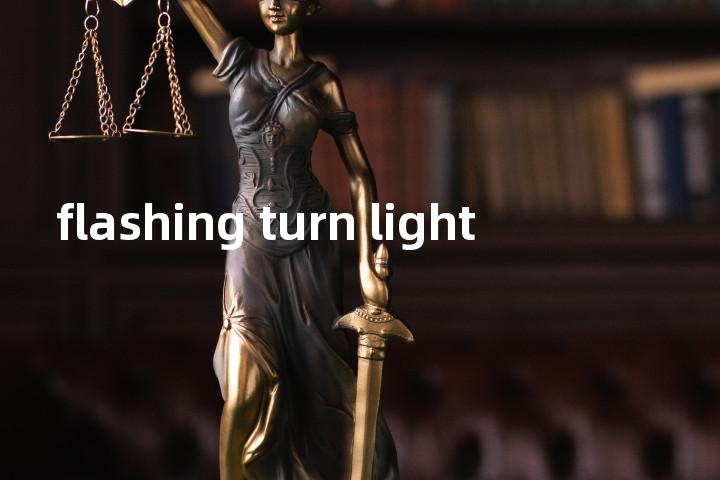 flashing turn light单词图解，单词释义场景配图