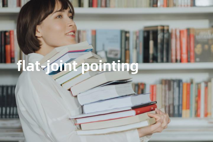 flat-joint pointing单词图解，单词释义场景配图