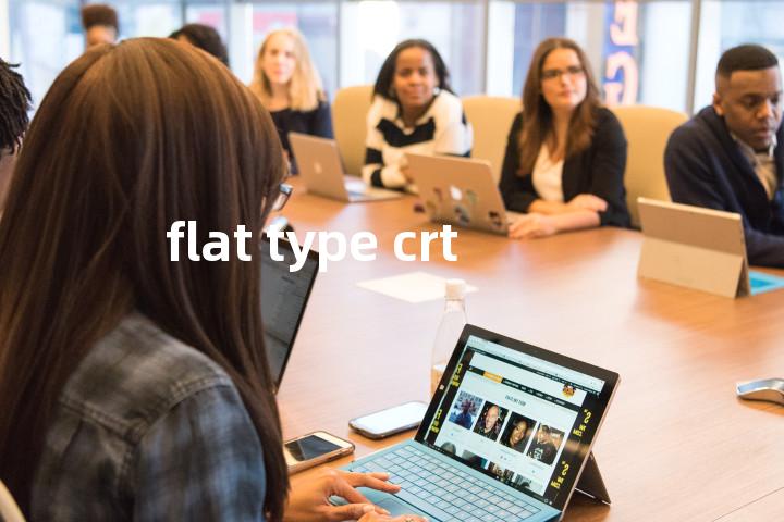 flat type crt单词图解，单词释义场景配图