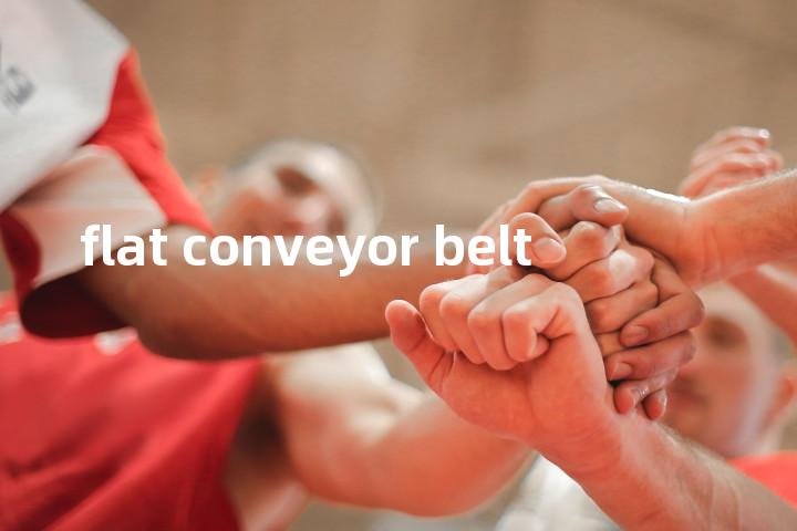 flat conveyor belt单词图解，单词释义场景配图