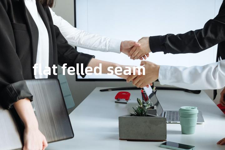 flat felled seam单词图解，单词释义场景配图