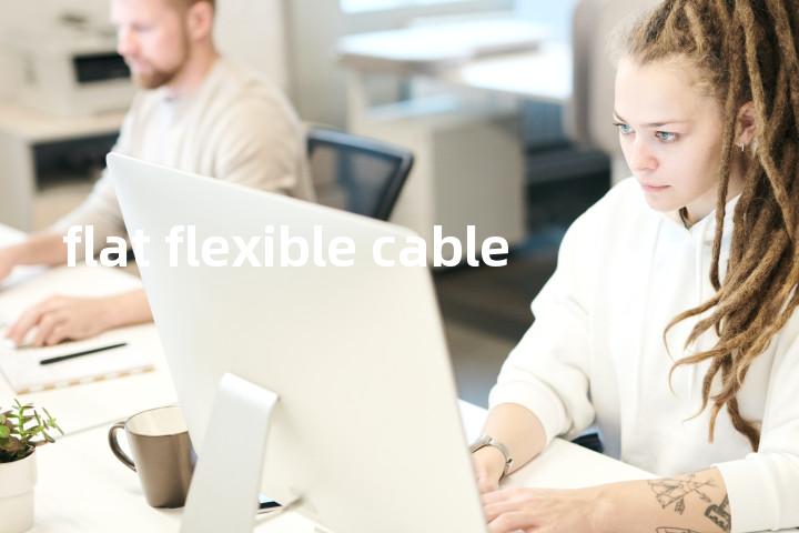 flat flexible cable单词图解，单词释义场景配图