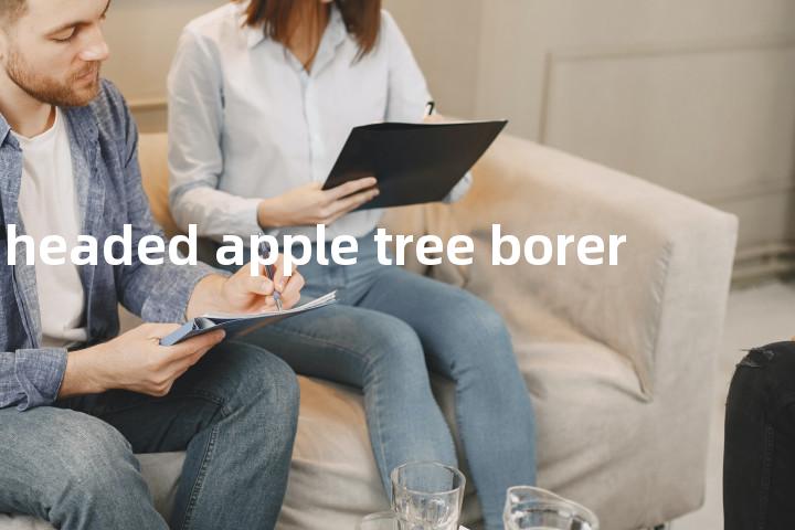 flat headed apple tree borer单词图解，单词释义场景配图